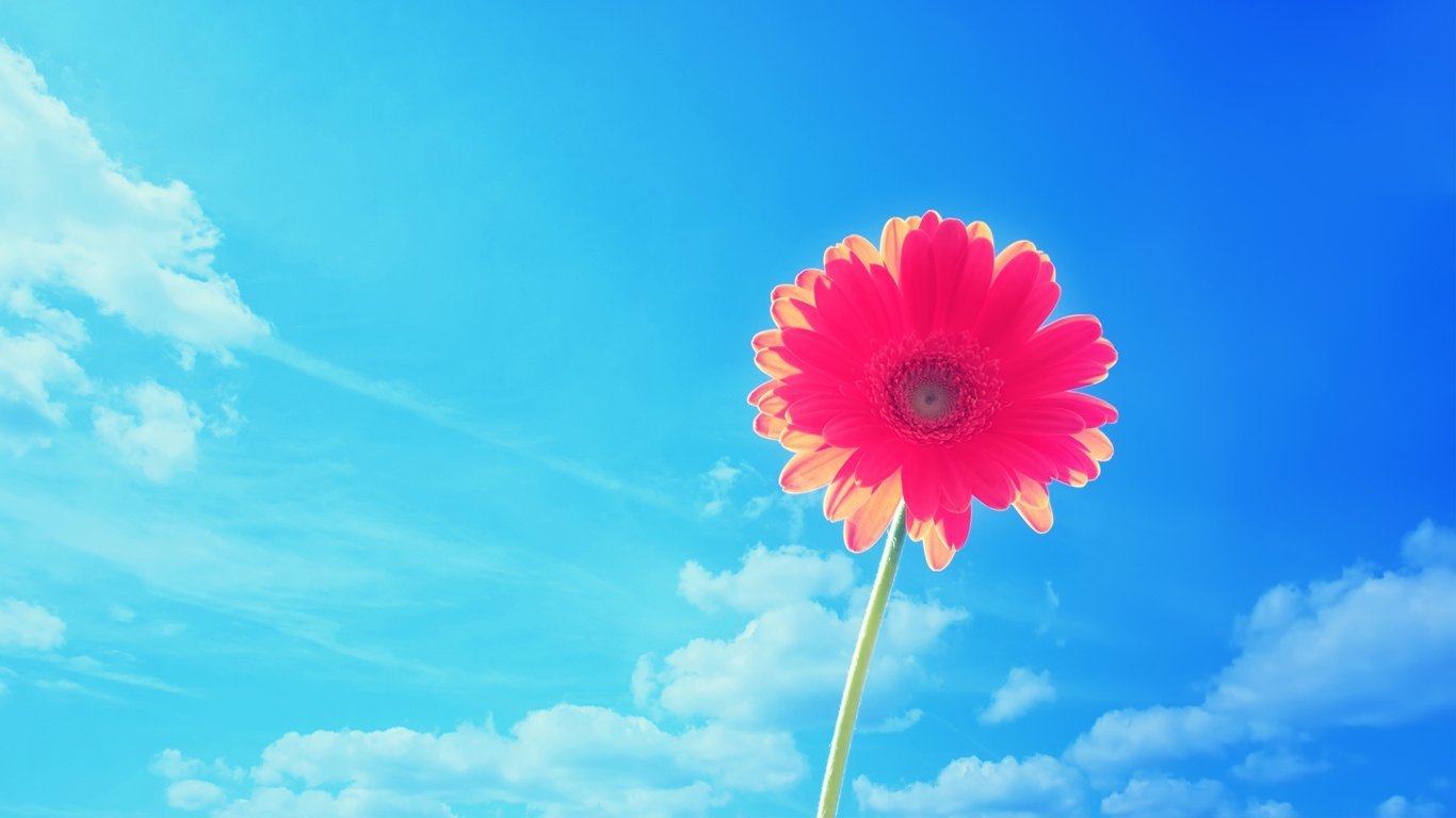 κĂ(g)˺(jin)v